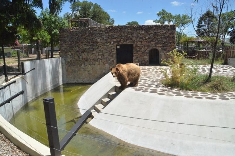 30  bioparque en construccion  nuevo sitio para los osos  prensa idd.jpg  