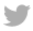 icon facebook