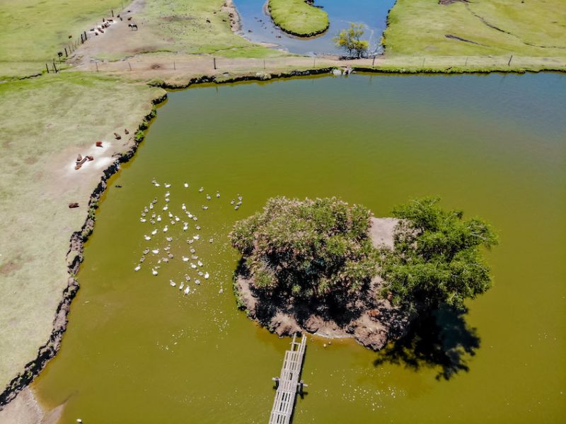 21  bioparquedurazno 2019