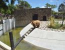 30  bioparque en construccion  nuevo sitio para los osos  prensa idd.jpg  