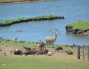 35  visitantes de todo el pais en el bioparque  prensa idd  